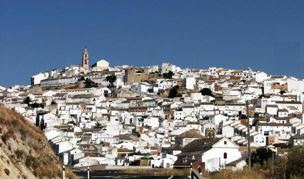 Hostal Los Claveles Baena Luaran gambar