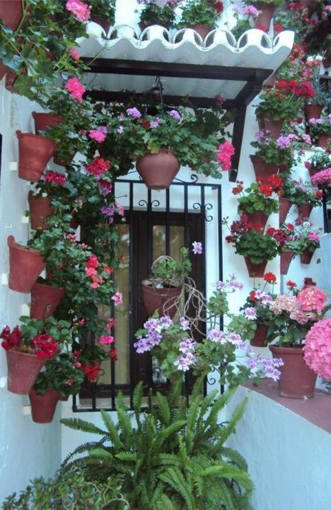 Hostal Los Claveles Baena Luaran gambar